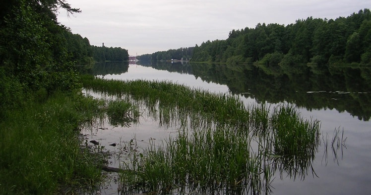 Черноголовский пруд