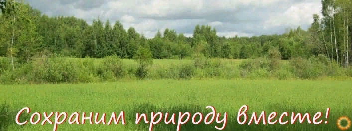 Сохраним природу вместе! Природа