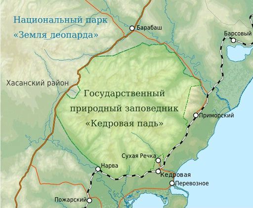 Кедровая Падь