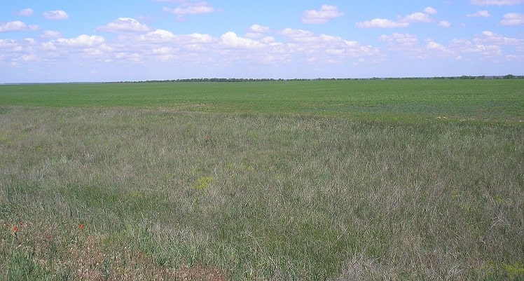 Крымская степь