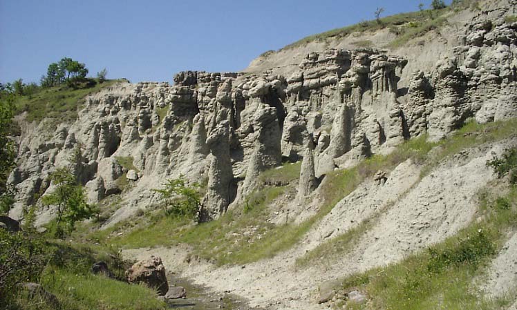 Куклица - удивительное творение природы Куклица