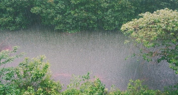 Проливной дождь Ливень