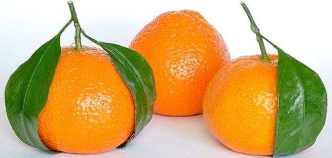 Мандарины