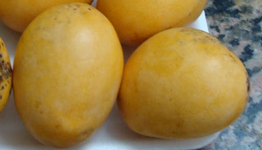 Манго