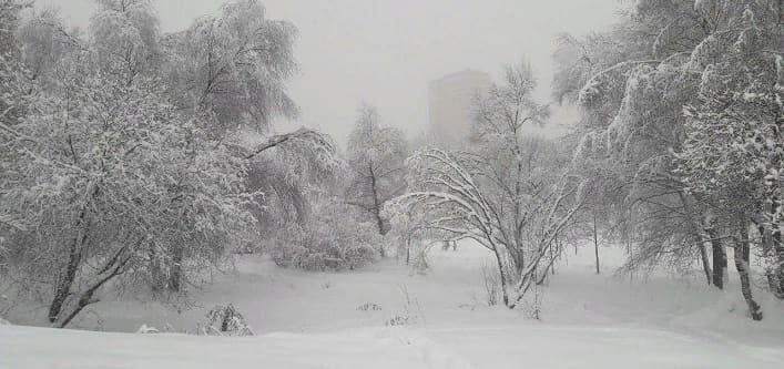 Снегопад в Москве Снегопад