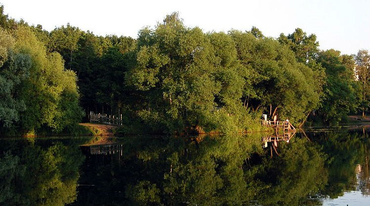 Воронцовские пруды