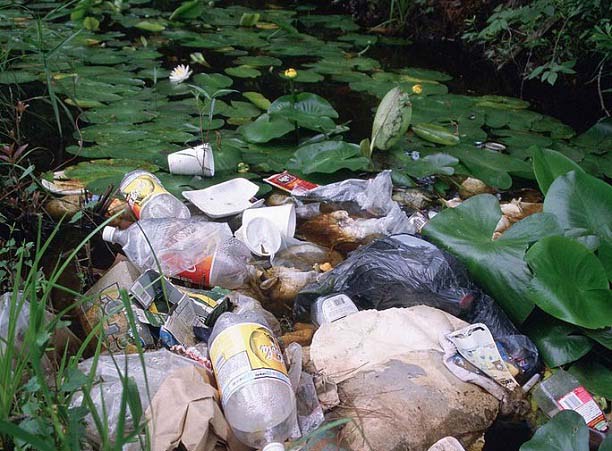 Загрязнение воды отходами Загрязнение воды